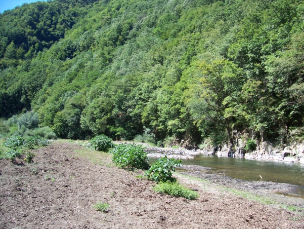  Image name: Fiume14.jpg 
 width: 601 pixel 
 height: 452 pixel 
 Size: 355296 bytes 
 Click to enlarge 